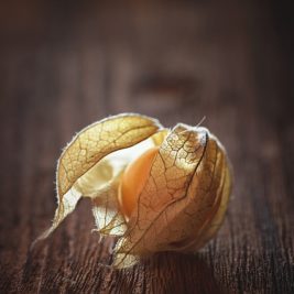 Gooseberry sorbet